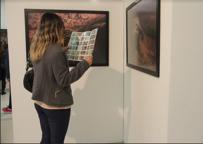 Mostra sobre os 80 anos do Parque Nacional do Itatiaia é inaugurada na Galeria de Arte UBM