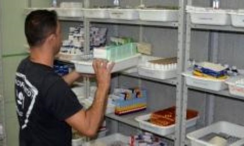 Farmácia Municipal de Porto Real recebe medicamentos para abastecer rede municipal de saúde    