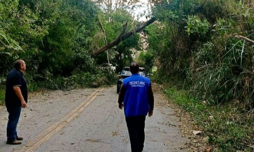 Prefeitura de Pinheiral mantém força-tarefa para atender ocorrências causadas por ventania