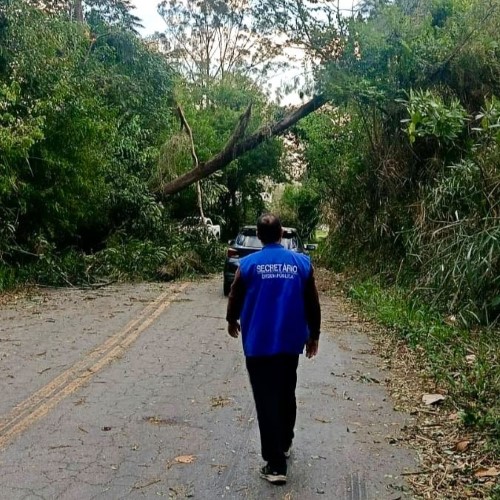 Prefeitura de Pinheiral mantém força-tarefa para atender ocorrências causadas por ventania