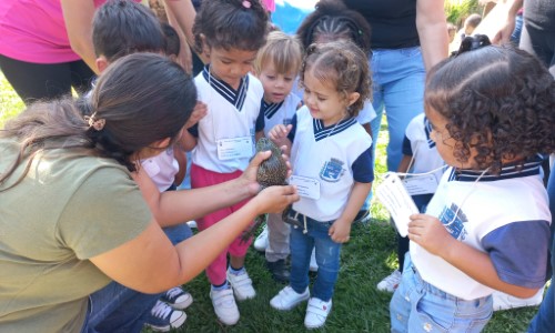 Fazendinha vira sala de aula para alunos em Pinheiral