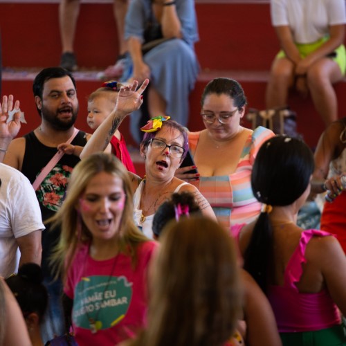 Carnaval de rua de Volta Redonda terá desfile de 20 blocos em 2025