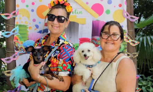 2ª edição do CarnaPet acontece neste sábado em Barra Mansa