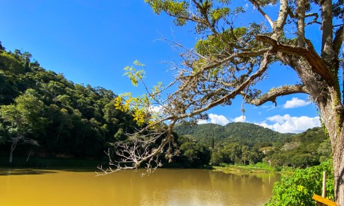 Terra do Tomate, Paty do Alferes capacita pequenos empresários para fomentar Turismo Rural