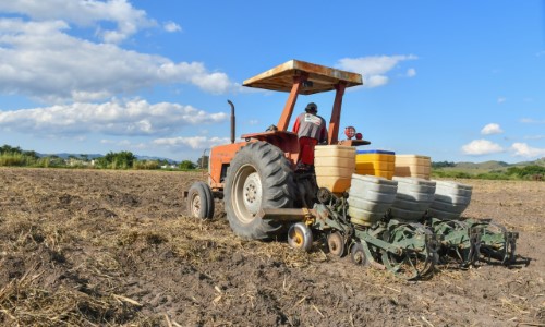 Secretaria de Agricultura de Porto Real presta auxílio a produtor rural no bairro Ettore