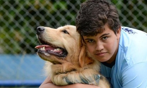 Cão da raça golden retriever leva suporte terapêutico a crianças autistas em Barra Mansa