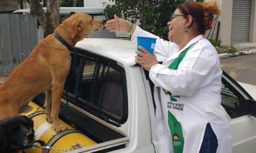 Saúde de Quatis inicia apreensão de cães e gatos soltos pelas ruas