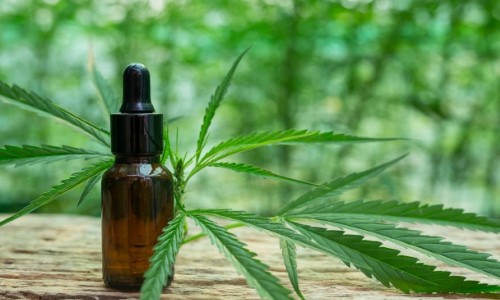 Fibromialgia e a cannabis medicinal