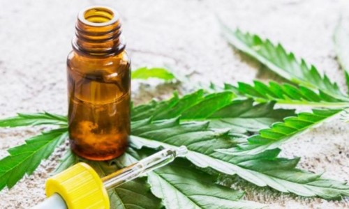 Cannabis medicinal ameniza efeitos da diabetes