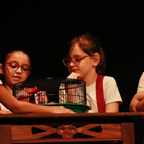 Teatro em cena: Circuito Cultural de Inverno da Arte in Foco movimenta o palco do Sest Senat