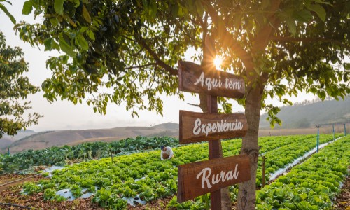 Paty de Alferes lança circuito turístico rural com apoio do Sebrae Rio