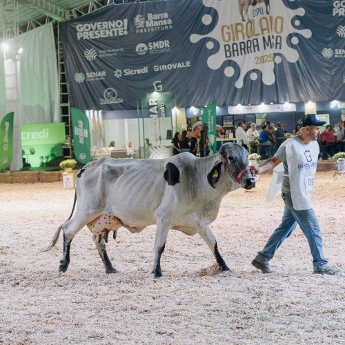 Destaques do setor leiteiro se reúnem na Expo Girolando Barra Mansa 2025