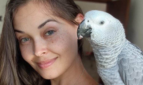 Exotic Pets Hotel: um refúgio feito com amor para os pets nada convencionais