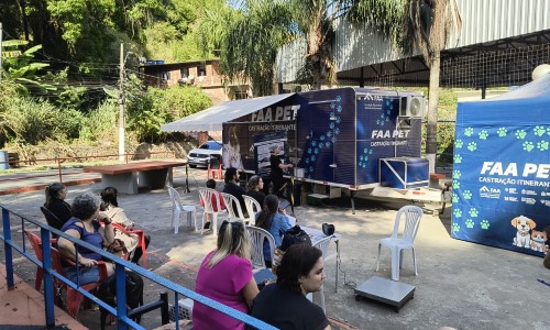 Castração de cães e gatos é realizada gratuitamente em unidade móvel em Barra Mansa