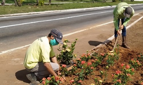 Volta Redonda inicia plantio de flores no trecho urbano da BR 393
