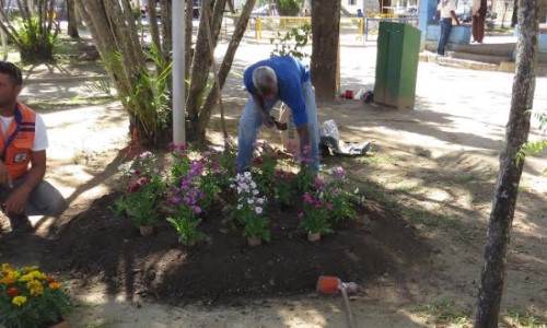   Prefeitura de Quatis inicia plantio de flores nas praças do Centro