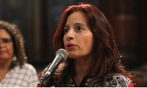 Emenda da deputada Ana Paula Rechuan garante incentivos aos produtores de leite do estado