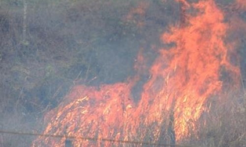 Prefeitura de Quatis reforça chamado contra queimadas durante a seca   
