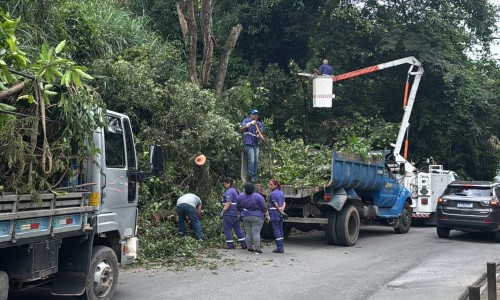 BM: Bairro Santa Rosa recebe serviços de poda de árvores e retirada de galhos em vias públicas