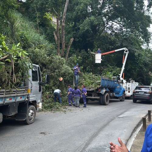 BM: Bairro Santa Rosa recebe serviços de poda de árvores e retirada de galhos em vias públicas