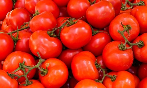 Festa do Tomate 2022 será realizada em junho em Paty do Alferes