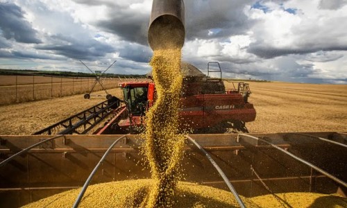 Brasil atinge recorde na colheita de grãos, com 350,2 milhões de toneladas na safra 2024/25