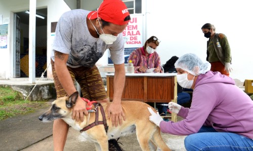 Prefeitura de Resende imuniza cães e gatos contra a raiva neste sábado, 11