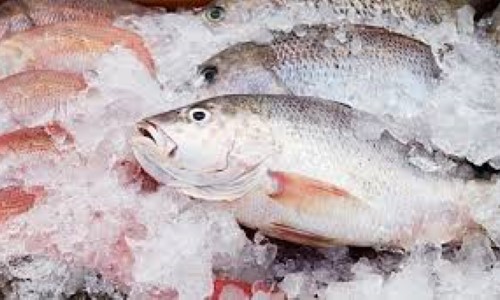 Quaresma aquece venda de peixes de Barra Mansa