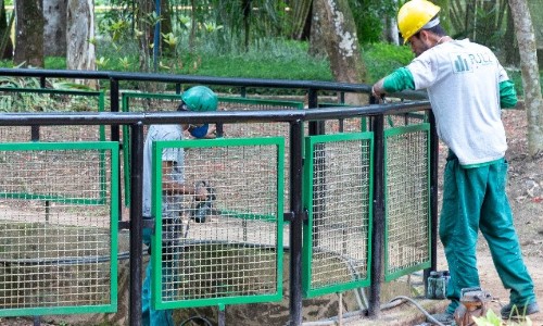 Reforma do Zoológico de Volta Redonda entra em fase de conclusão